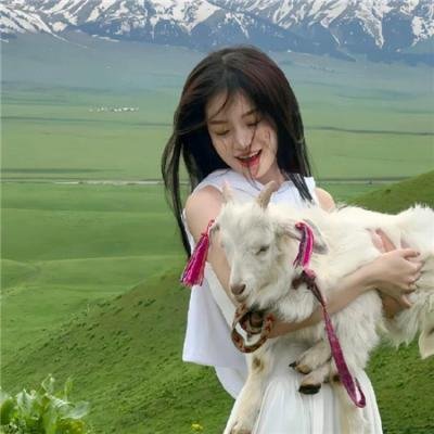 森林女王2024
